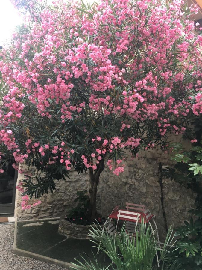 Chambre Sur Jardin Secret - Avignon Centre - Climatisee Exteriér fotografie